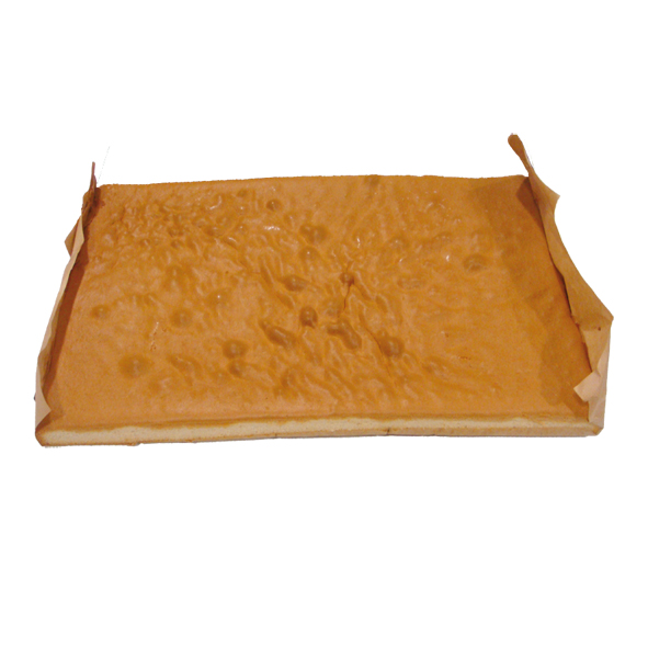 LFG.PLANXA BISCUIT 60x40 290g 8u