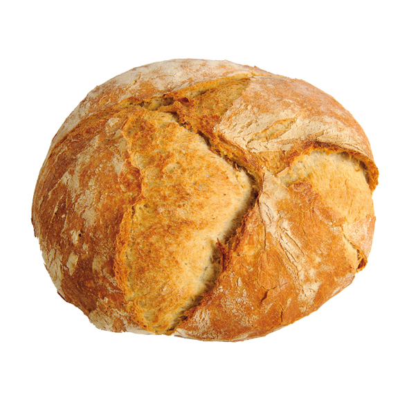 LFGN.PA PAGES PRECUIT SENCER GR.8u