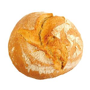 LFGN.PA PAGES PRECUIT SENCER 1/2 15u