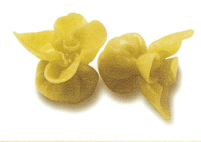 BIP.FAGOTTI GORG/NOCI (3 bosses 1kg)(JP024__
