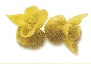BIP.FAGOTTI GORG/NOCI (3 bosses 1kg)(JP024__