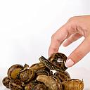 CARGOL BOVER 1kg (8) LOS ABUELOS SG