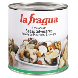 BOLETS ASSORTITS FRAGUA 3Kg (1,3esc) SG (6)