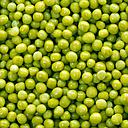 PESOL FI 4x2,5Kg BONDUELLE SG VG__