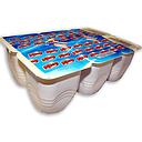 VASOS gelat VAINILLA/XOCOLATA 54x125ml ALE HOP SG__