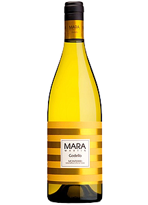 MARA MARTIN GODELLO 2024 (6) SG