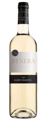 SYNERA BLANC 2024 (12) SG