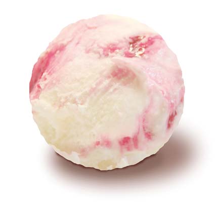 GR.6,5 YOGUR FRUTOS BOSQUE SG