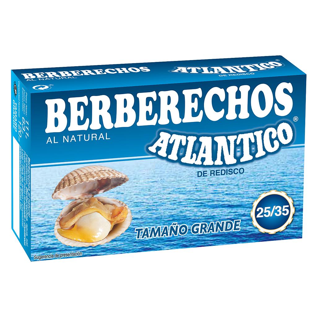 ESCOPINYA ATLANTICO 25/35  (50)