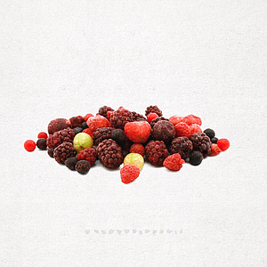 MIX FRUITES DEL BOSC 1kg (10) SG
