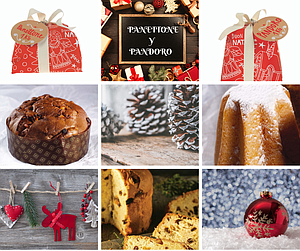 BI.PANETTONE 1kg 6u__