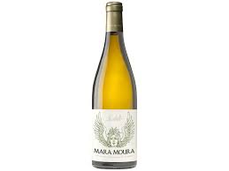 MARA MOURA GODELLO  2023 (6) SG