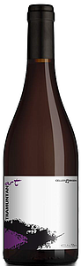 TRAMUNTANART NEGRE 2023 (6) SG
