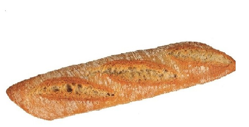 LFGN.PAYESITA GOURMET PLUS 120x40u