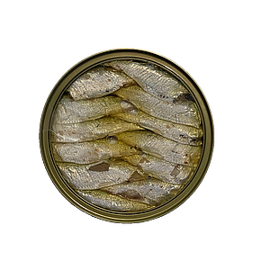 SARDINETES Ro120 16/20 BAYMAR oli oliva (18) SG