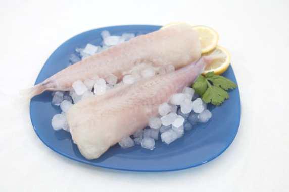 RAP XINES CUA 150/200 1Kg (6) SG__