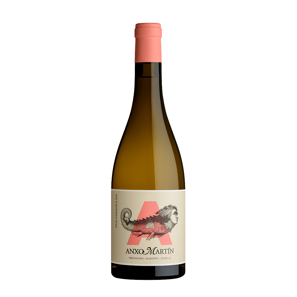 ANXO MARTIN RIBEIRO 2021(6) 