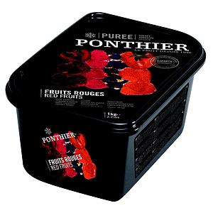 PURE FRUITS VERMELLS PONTHIER 1Kg (6)