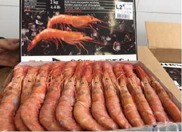 GAMBA ARGENTINA N2 (20/30) 2Kg (6)__