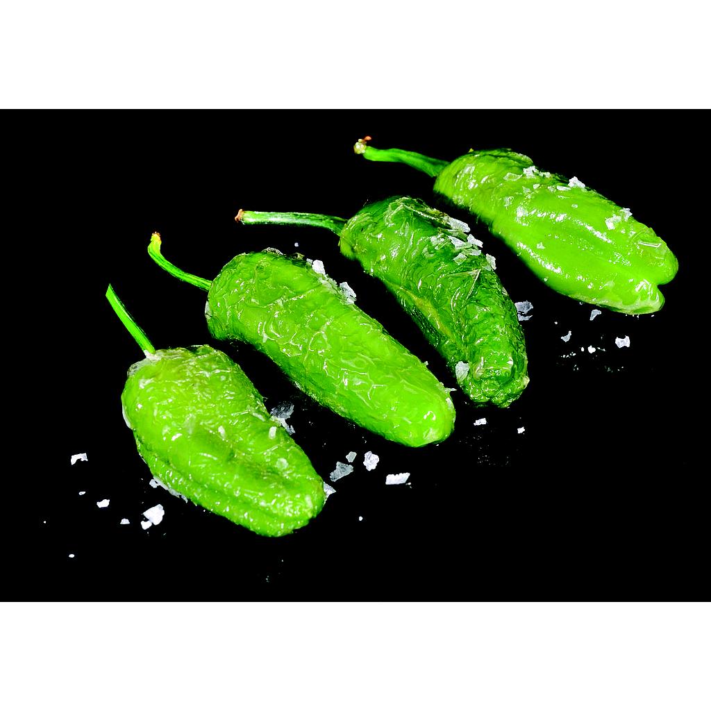 PEBROTS DEL PADRO 2Kg SG VG__