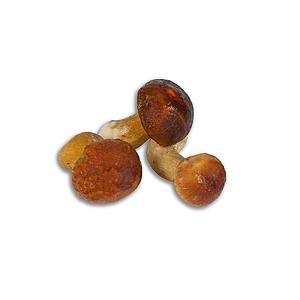 CEP SENCER MITJA 4-6cm 1kg (5) SG***