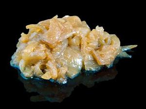 CEBA CARAMELITZADA 400g 8u SG VG__