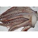 CALAMAR POTES (rejos) 2-5 peces 5kg__