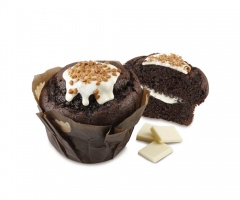 RA.BIG TULIPA  DARK 12u